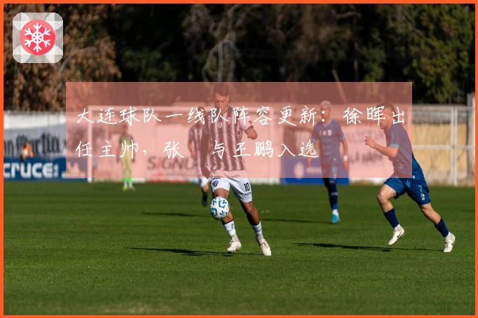 大连球队一线队阵容更新：徐晖出任主帅，张翀与王鹏入选